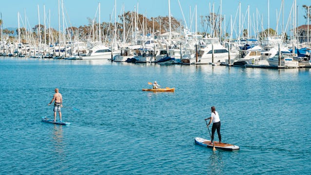 people paddleboarding and kayaking in water